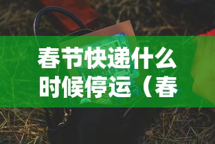 春节快递什么时候停运（春节时快递什么时候停运）