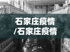 石家庄疫情/石家庄疫情放开时间