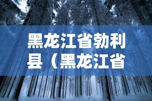 黑龙江省勃利县（黑龙江省勃利县运动会开幕式）