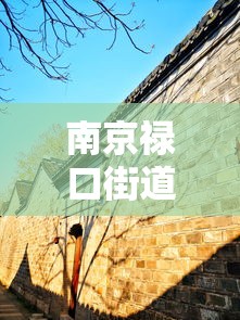 南京禄口街道解封:南京禄口街道封闭 南京禄口街道解封:南京禄口街道封闭