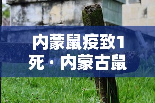 内蒙鼠疫致1死 · 内蒙古鼠疫事件
