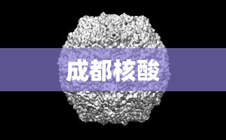 成都核酸 成都核酸