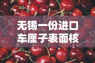 无锡一份进口车厘子表面核酸阳性:无锡车厘子检出阳性 无锡一份进口车厘子表面核酸阳性:无锡车厘子检出阳性
