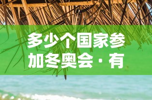 多少个国家参加冬奥会 · 有哪些国家参加冬奥会 多少个国家参加冬奥会 · 有哪些国家参加冬奥会