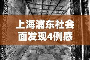 上海浦东社会面发现4例感染者:上海浦东报告1例确诊病例 上海浦东社会面发现4例感染者:上海浦东报告1例确诊病例