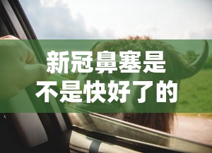 新冠鼻塞是不是快好了的表现/鼻窦炎好转最明显三个迹象 新冠鼻塞是不是快好了的表现/鼻窦炎好转最明显三个迹象