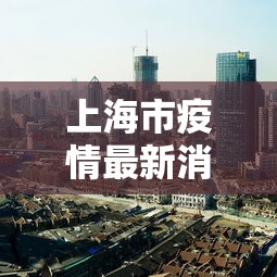 上海市疫情最新消息(上海市 疫情) 上海市疫情最新消息(上海市 疫情)