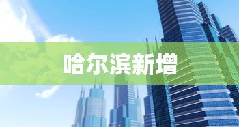 哈尔滨新增 哈尔滨新增