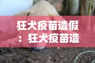 狂犬疫苗造假:狂犬疫苗造假事件 狂犬疫苗造假:狂犬疫苗造假事件