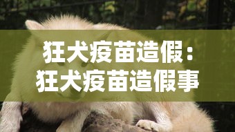 狂犬疫苗造假:狂犬疫苗造假事件 狂犬疫苗造假:狂犬疫苗造假事件