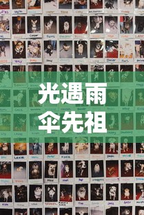 光遇雨伞先祖兑换表 光遇雨伞先祖兑换表
