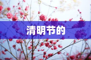 清明节的 清明节的