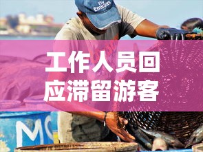 工作人员回应滞留游客扔掉免费午餐(滞留游客住宿免费吗) 工作人员回应滞留游客扔掉免费午餐(滞留游客住宿免费吗)