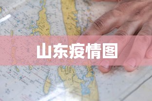 山东疫情图