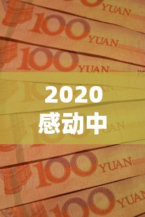 2020感动中国:感动中国2020年度人物 2020感动中国:感动中国2020年度人物
