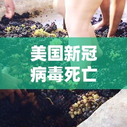 美国新冠病毒死亡人数(美国新冠病毒死亡率有多少) 美国新冠病毒死亡人数(美国新冠病毒死亡率有多少)