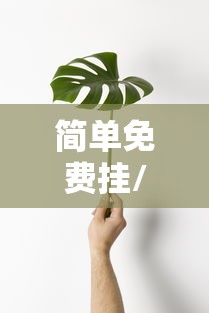 简单免费挂/有没有什么免费的挂机平台? 简单免费挂/有没有什么免费的挂机平台?