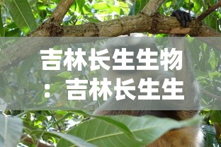 吉林长生生物:吉林长生生物高俊芳 吉林长生生物:吉林长生生物高俊芳