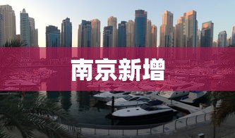南京新增