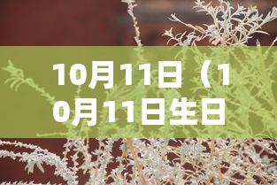 10月11日(10月11日生日是农历几号) 10月11日(10月11日生日是农历几号)