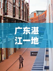 广东湛江一地调为中风险区:湛江地区风险等级 广东湛江一地调为中风险区:湛江地区风险等级
