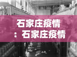 石家庄疫情:石家庄疫情是哪一年开始的 石家庄疫情:石家庄疫情是哪一年开始的