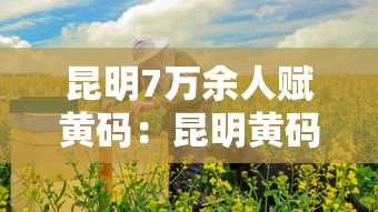 昆明7万余人赋黄码:昆明黄码什么意思 昆明7万余人赋黄码:昆明黄码什么意思