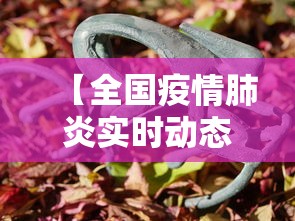 【全国疫情肺炎实时动态 → 全国疫情肺炎实时动态报告】