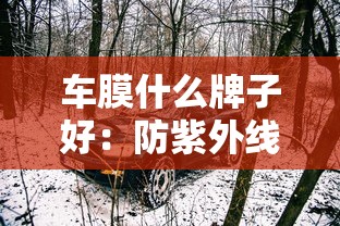 车膜什么牌子好：防紫外线车膜什么牌子好