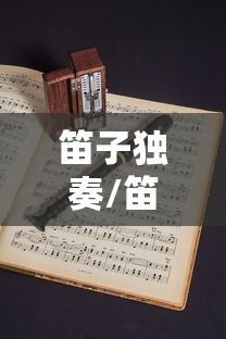笛子独奏/笛子独奏十大名曲