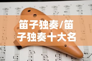 笛子独奏/笛子独奏十大名曲 笛子独奏/笛子独奏十大名曲