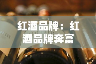 红酒品牌：红酒品牌奔富