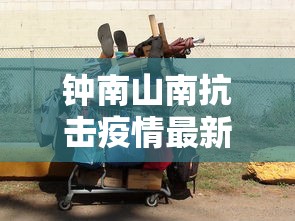钟南山南抗击疫情最新消息 · 钟南南山抗疫简介资料
