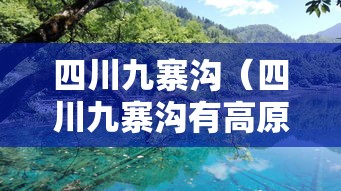 四川九寨沟（四川九寨沟有高原反应吗）