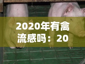 2020年有禽流感吗：2020禽流感是真的吗
