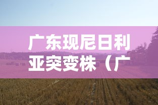 广东现尼日利亚突变株（广州警方关于尼日利亚男子）