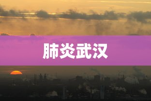 肺炎武汉 肺炎武汉
