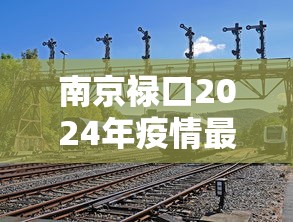 南京禄口2024年疫情最新消息 · 南京禄口疫情时间线