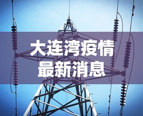 大连湾疫情最新消息 大连湾疫情最新消息
