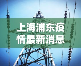 上海浦东疫情最新消息（上海浦东疫情最新情况分布图）