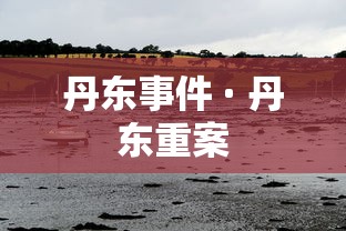 丹东事件 · 丹东重案