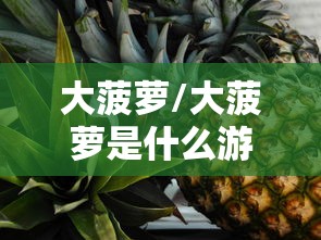 大菠萝/大菠萝是什么游戏 大菠萝/大菠萝是什么游戏