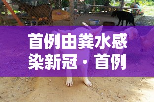 首例由粪水感染新冠 · 首例由粪水感染新冠的病例 首例由粪水感染新冠 · 首例由粪水感染新冠的病例