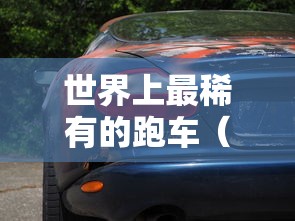世界上最稀有的跑车（最稀有的跑车排行）