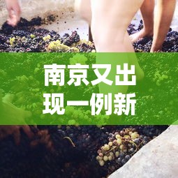 南京又出现一例新冠病毒(南京又出现一例新冠2021) 南京又出现一例新冠病毒(南京又出现一例新冠2021)