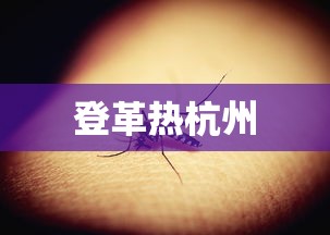 登革热杭州