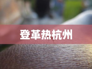 登革热杭州 登革热杭州