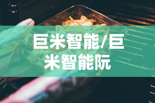 巨米智能/巨米智能阮 巨米智能/巨米智能阮