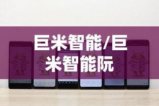 巨米智能/巨米智能阮