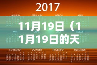 11月19日（11月19日的天蝎女）